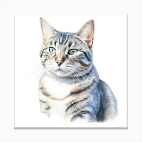 European Shorthair Cat Portrait 2 Canvas Print