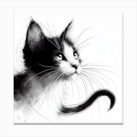 Black And White Kitten 1 Canvas Print