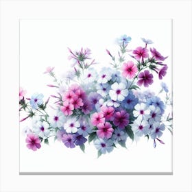 Flowers of Phlox 1 Canvas Print