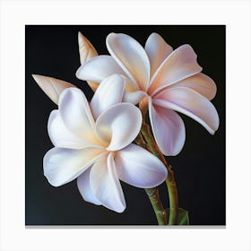 Floral Art 0014 Single Flowers 0014 Floral Bot 0036 Bp6586 Imagine An Frangipani Flowers Boquet In Its Closed Sta Fa7d6d Canvas Print