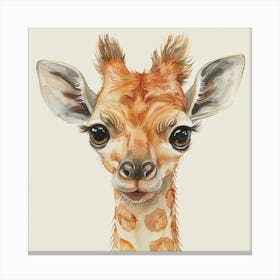 Giraffe Canvas Print Canvas Print