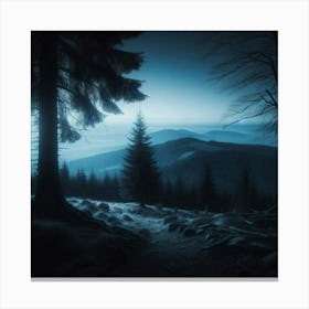 Dark Forest At Night 1 Canvas Print