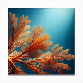 Seaweed Stock Videos & Royalty-Free Footage Canvas Print