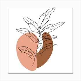 Illustration Of A Plant 1 Canvas Print