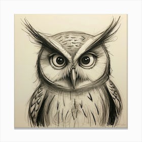 Owl Drawing Canvas Print