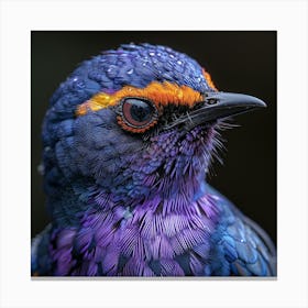 Purple Kingfisher Canvas Print