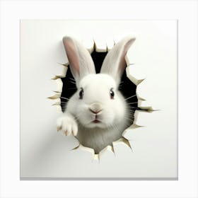 Rabbit Peeking Through A Hole 1 Canvas Print