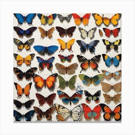 Collection Of Butterflies Canvas Print