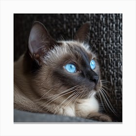 Siamese Cat With Blue Eyes Canvas Print