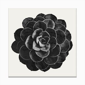 Succulent Black Marble Canvas Print