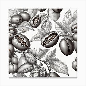 Coffee Beans 210 Canvas Print