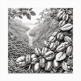 Coffee Beans 207 Canvas Print