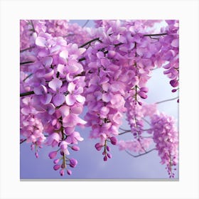 Wisteria Canvas Print