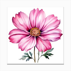 Pink Cosmos Flower 2 Canvas Print