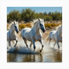 White Horses Running In Water Canvas Print