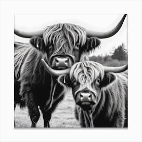 Highland Cows Canvas Print