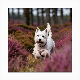 Wee Westie Canvas Print