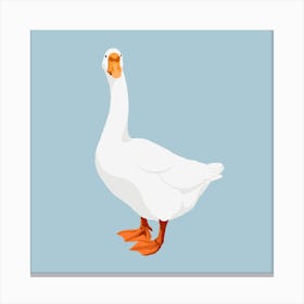 White Goose 1 Canvas Print