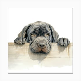 Dog Looking Over A Fence 4 Canvas Print