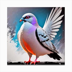 Pigeon 24 Canvas Print