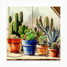 Cacti And Succulents 5 Canvas Print