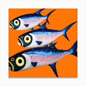 Three Fish Canvas Print