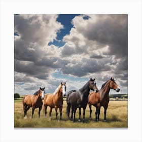 Horses In A Field 2 Canvas Print