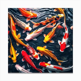 Koi Fish Canvas Print