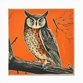 Retro Bird Lithograph Eastern Screech Owl 1 Canvas Print