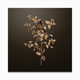 Gold Botanical Tree Fuchsia on Chocolate Brown n.3179 Canvas Print