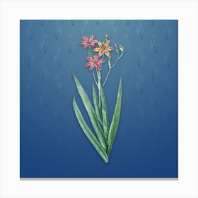 Vintage Blackberry Lily Botanical on Bahama Blue Pattern n.2230 Canvas Print