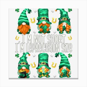 Limited Edition Leprechaun St Canvas Print