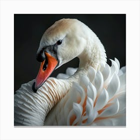 Swan Beak 2 Canvas Print