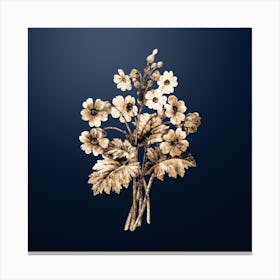 Gold Botanical The Chinese Primrose on Midnight Navy n.1994 Canvas Print