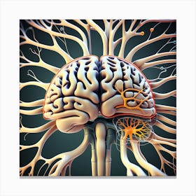 Brain And Nervous System 16 Canvas Print