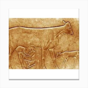 Egyptian Cow Canvas Print