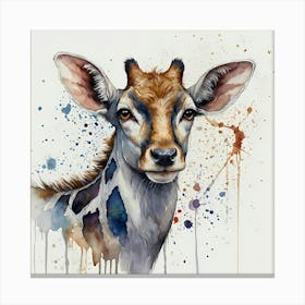 Antelope Canvas Print