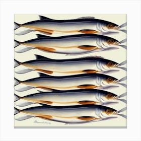 Sardines 1 Canvas Print