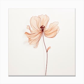 Poppy 2 Canvas Print