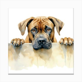 Boxer Dog 8 Canvas Print