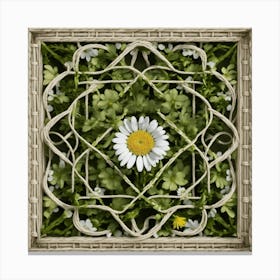 Imagine Vines Of Many Intertwined Small White Dais rug Canvas Print