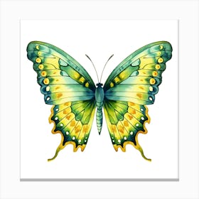 Butterfly Isolated On White Background Canvas Print