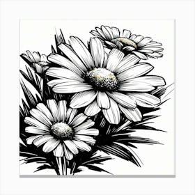 Chamomile flowers 2 Canvas Print