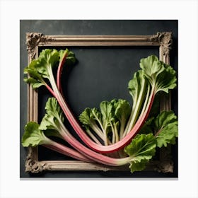 Rhubarb 122 Canvas Print