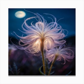 Moonlight Flower Canvas Print