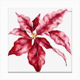 Poinsettia Canvas Print