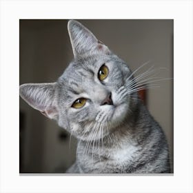 Gray Cat Canvas Print