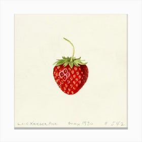 Strawberry Canvas Print