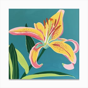 Lily 2 Square Flower Illustration Canvas Print