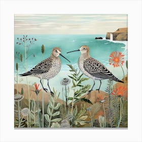 Bird In Nature Dunlin 4 Canvas Print